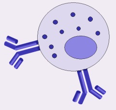 Centro de patología alérgica